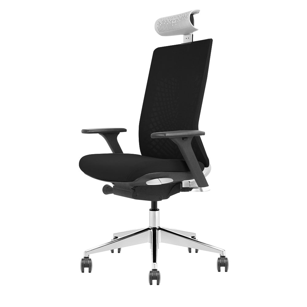 SKILLCHAIRS Ergo Torino