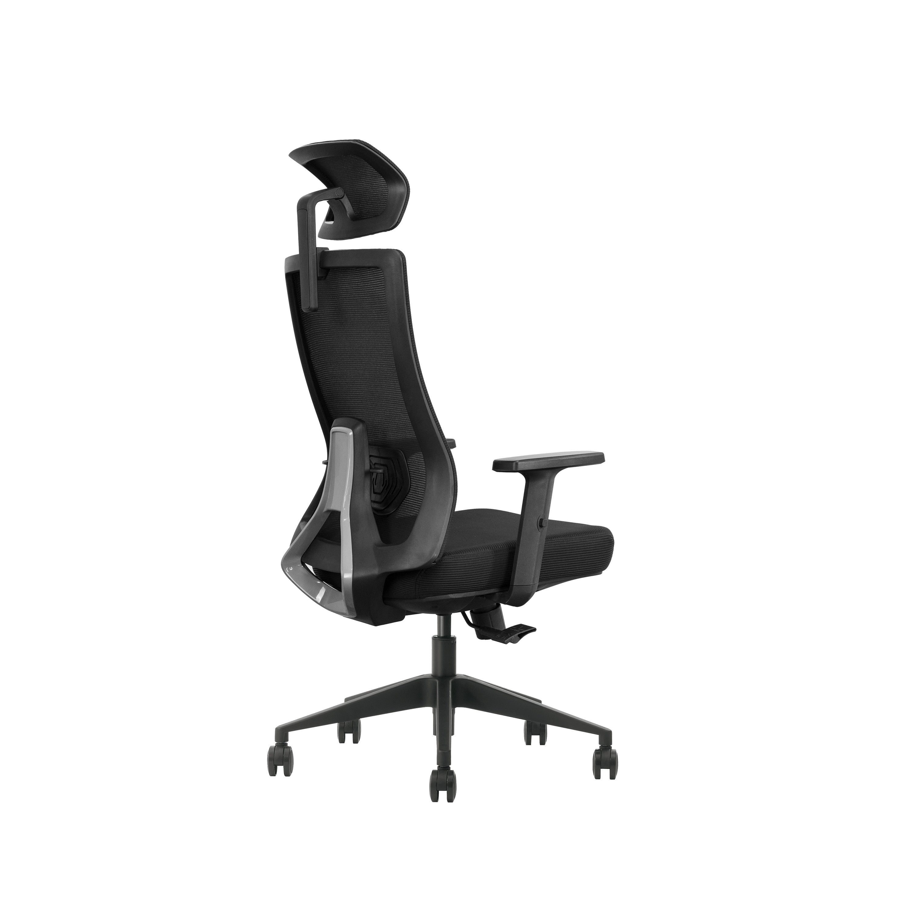 SKILLCHAIRS Ergo Aria (Black)