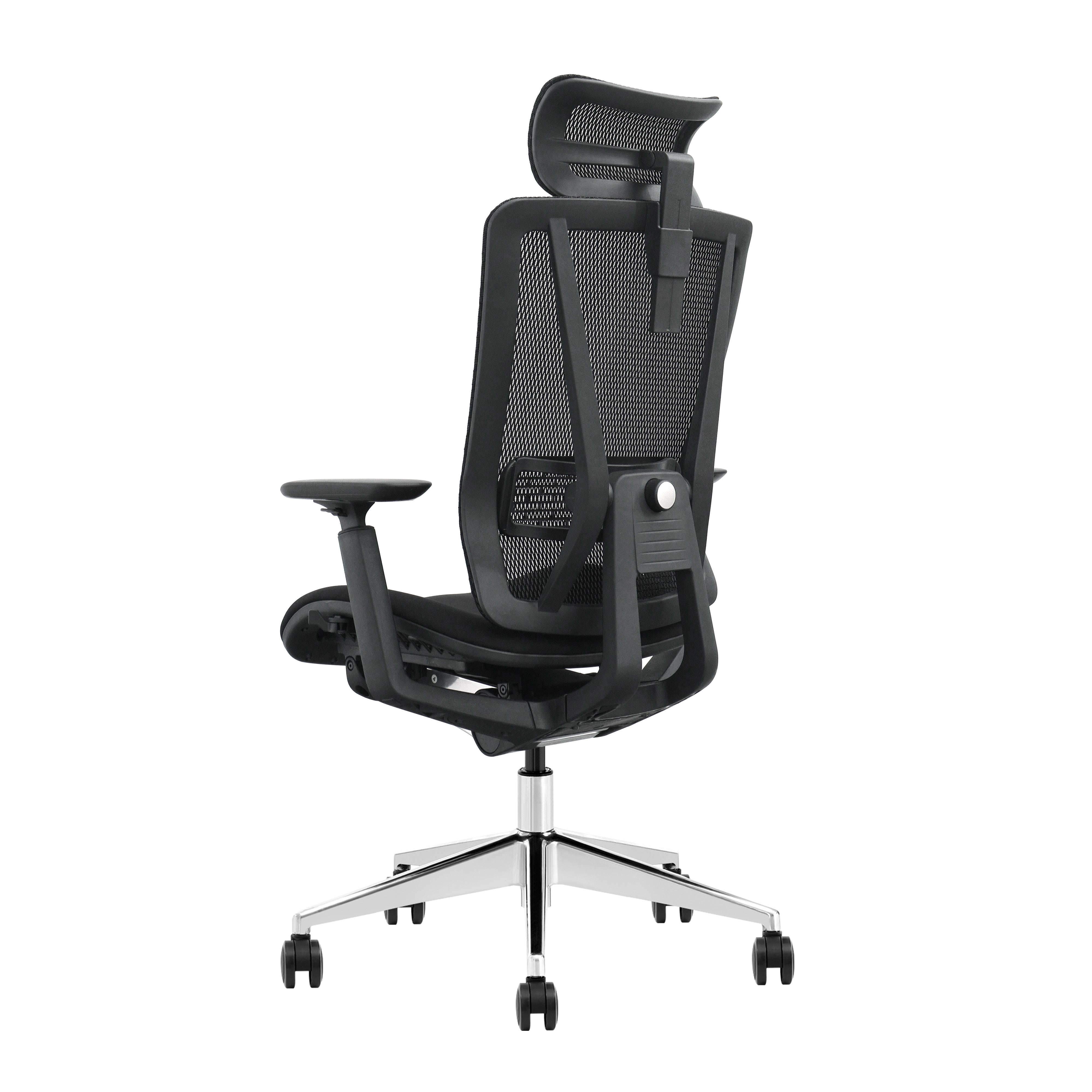 SKILLCHAIRS Ergo Vittoria
