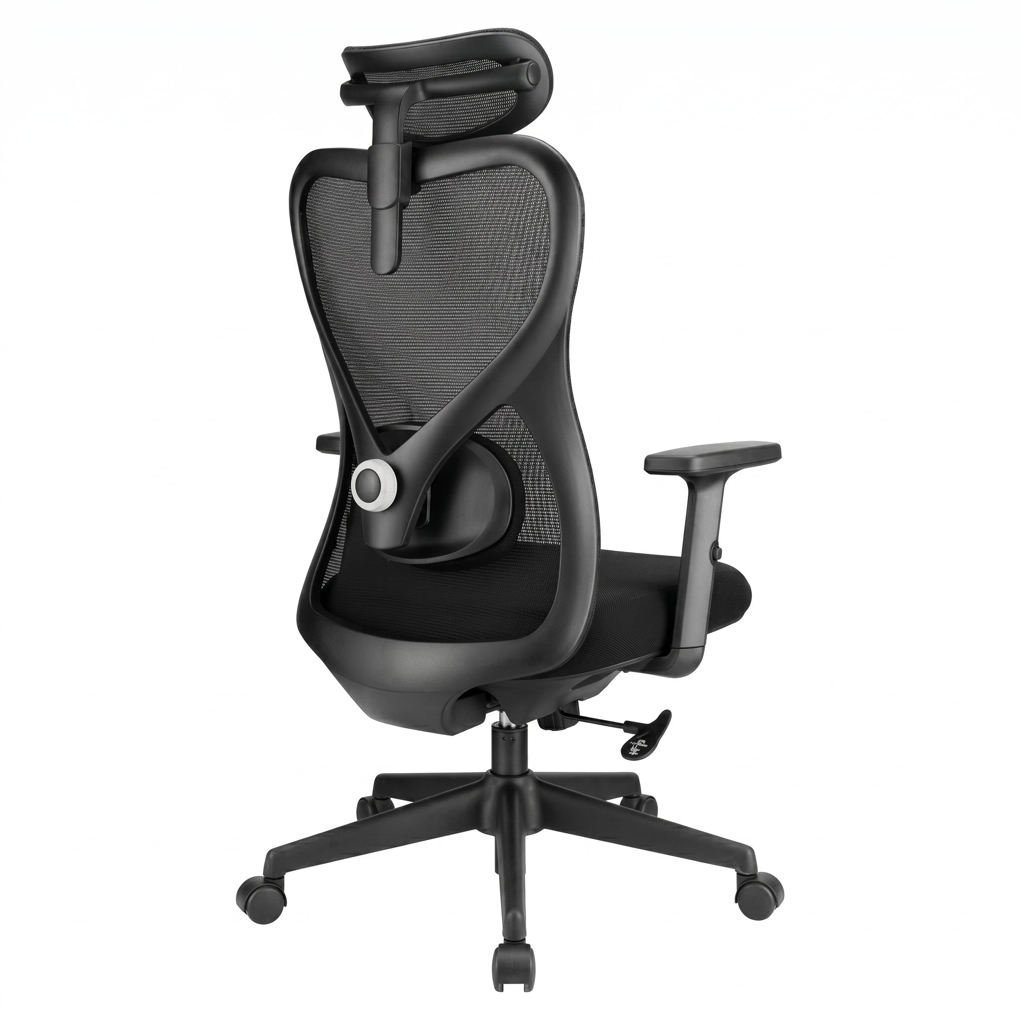 SKILLCHAIRS Ergo Alaska