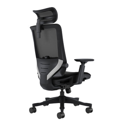 SKILLCHAIRS Ergo Aurora