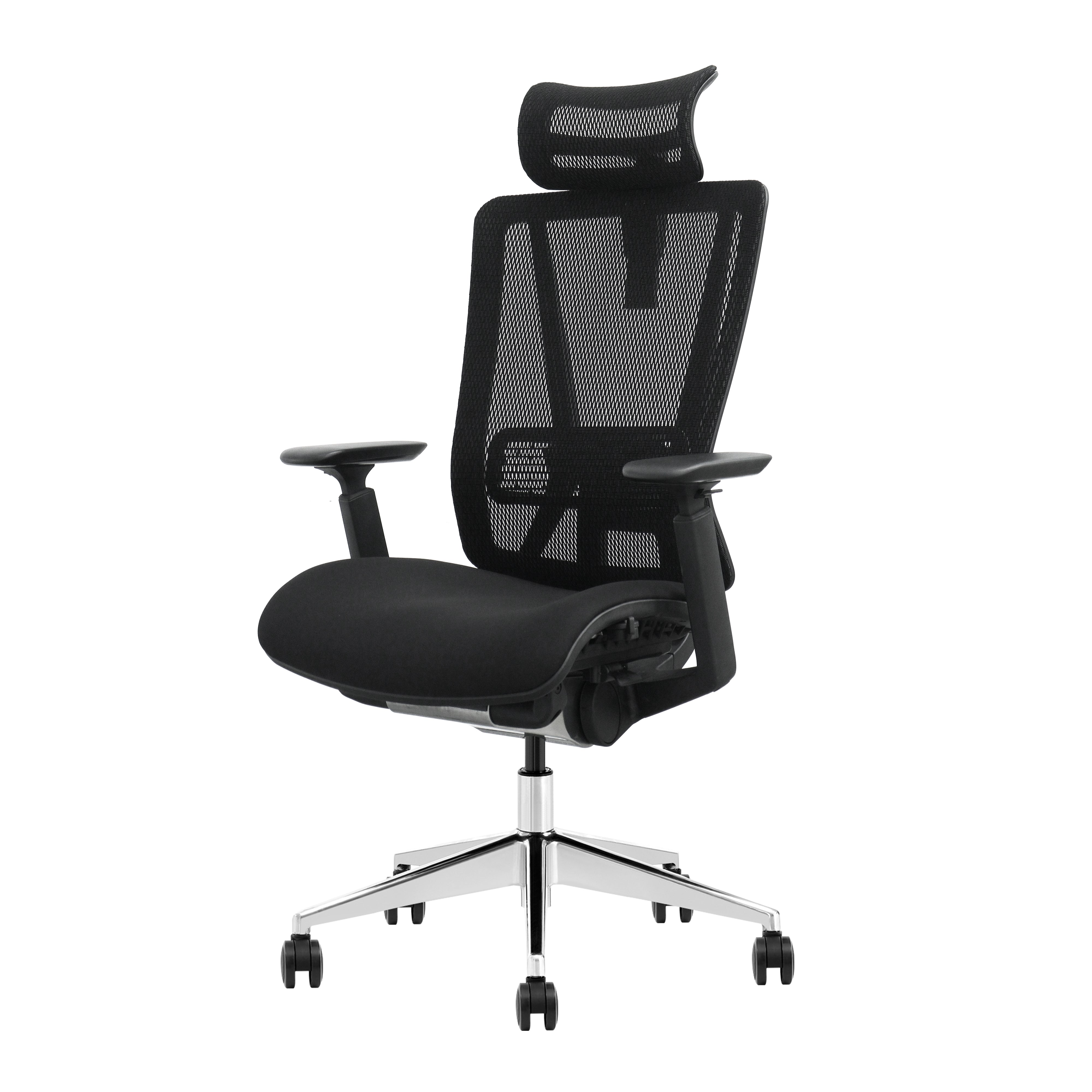 SKILLCHAIRS Ergo Vittoria