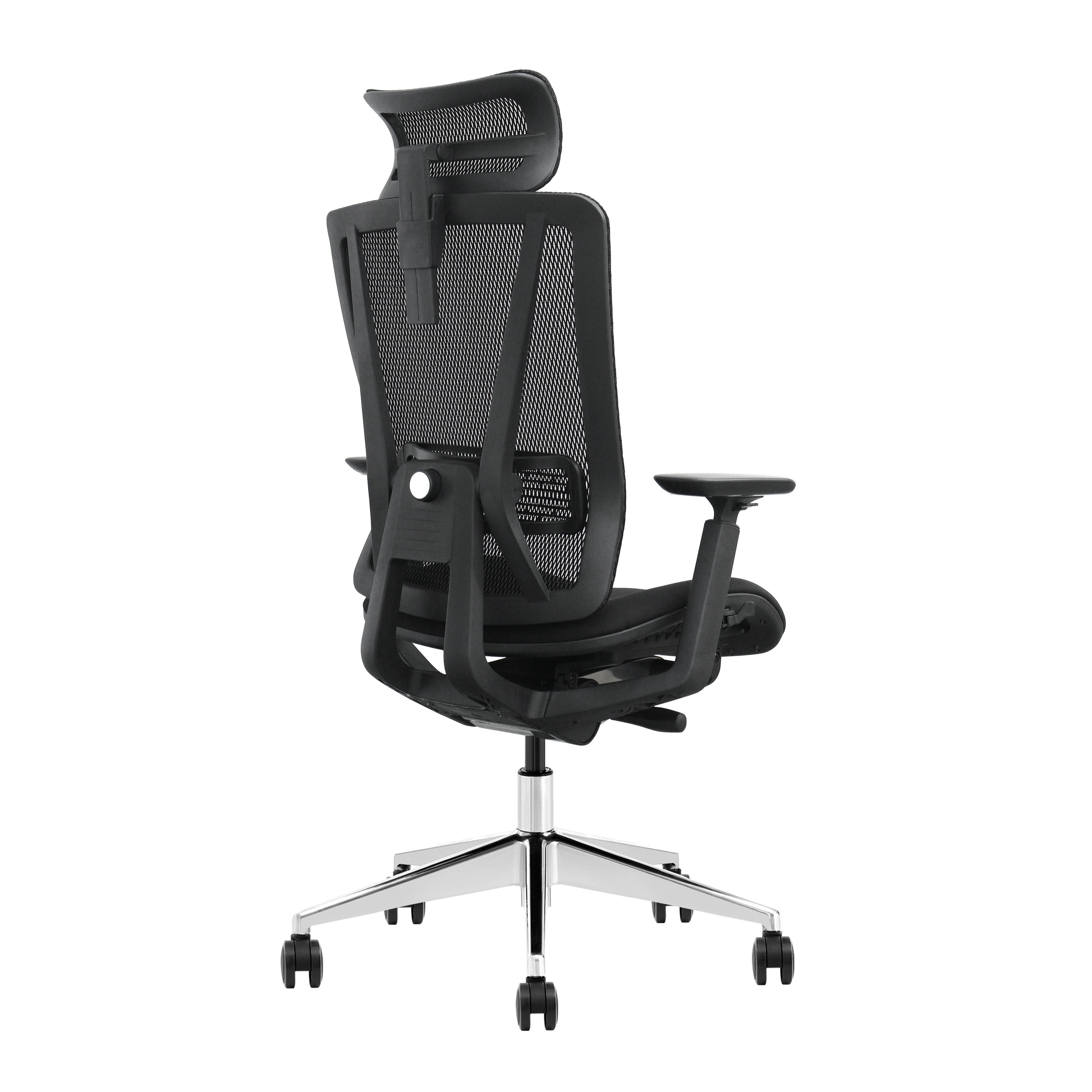 SKILLCHAIRS Ergo Vittoria