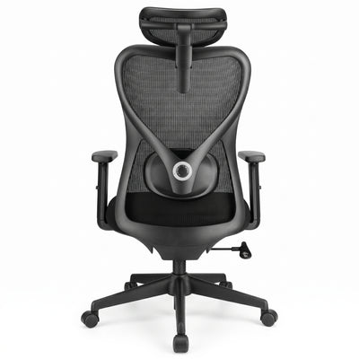 SKILLCHAIRS Ergo Alaska