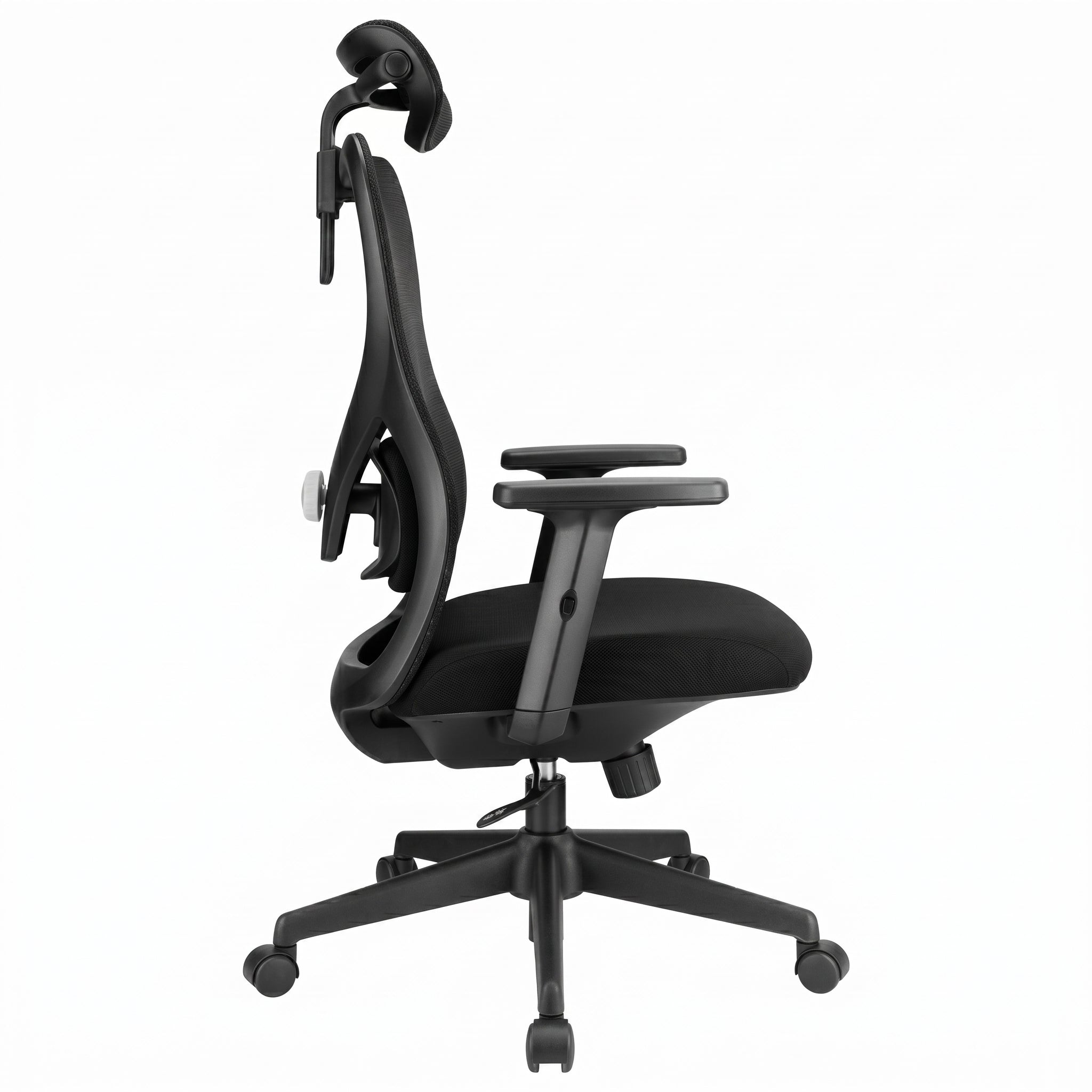 SKILLCHAIRS Ergo Alaska