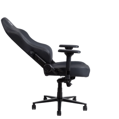 SKILLCHAIRS SC12 MILESTONE