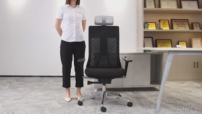 SKILLCHAIRS Ergo Torino