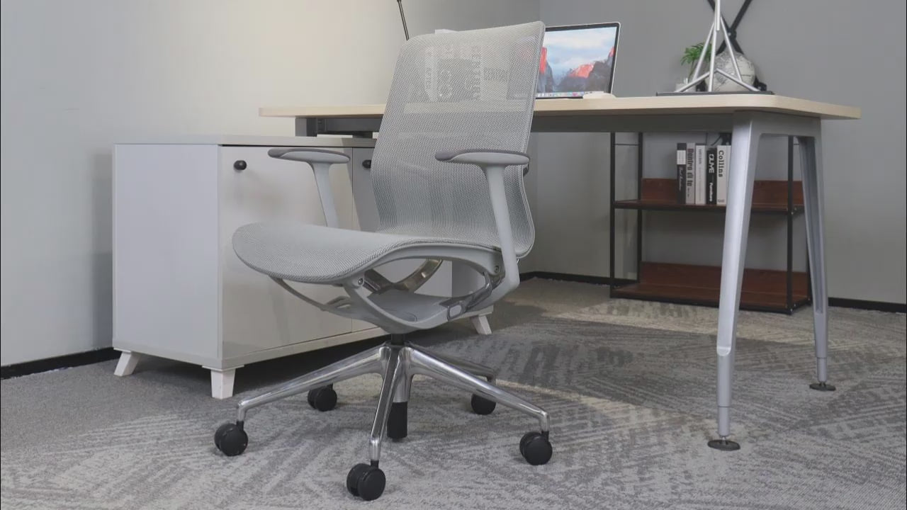 SKILLCHAIRS Ergo Serena (Gris)