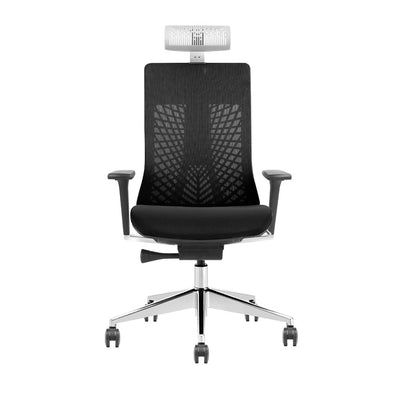SKILLCHAIRS Ergo Torino product image