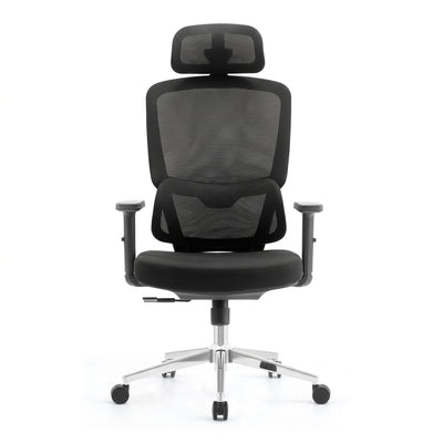 SKILLCHAIRS Ergo Dino