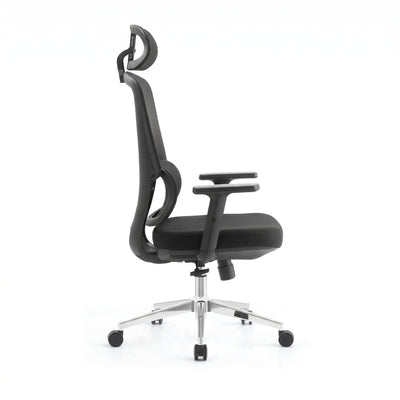 SKILLCHAIRS Ergo Dino