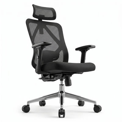 SKILLCHAIRS Ergo Verona