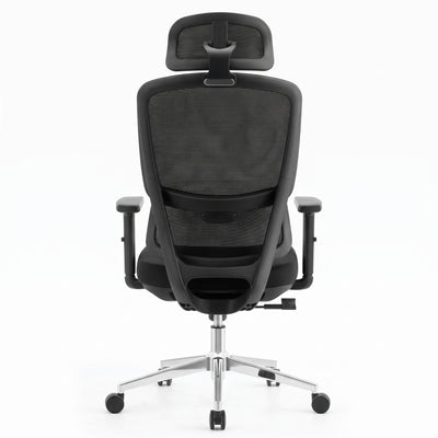 SKILLCHAIRS Ergo Dino