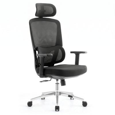 SKILLCHAIRS Ergo Dino