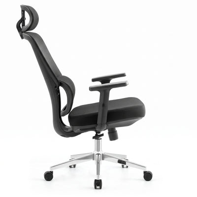 SKILLCHAIRS Ergo Dino