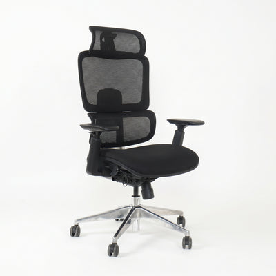 SKILLCHAIRS Ergo Perla