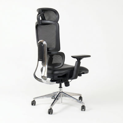 SKILLCHAIRS Ergo Perla